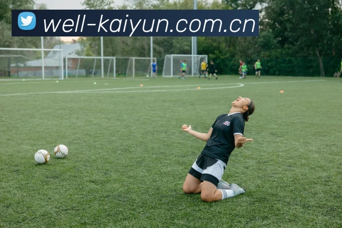开云kaiyun 应用封面